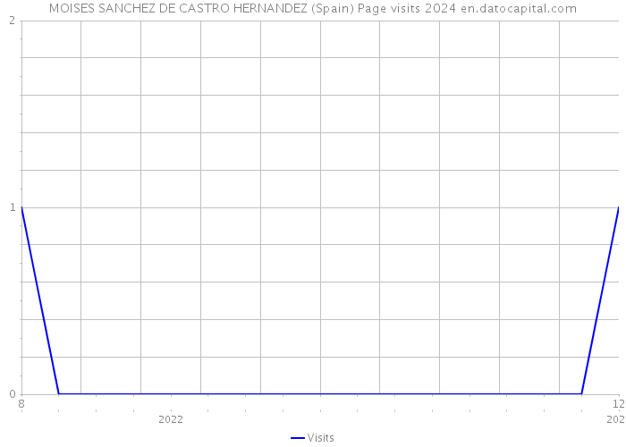 MOISES SANCHEZ DE CASTRO HERNANDEZ (Spain) Page visits 2024 