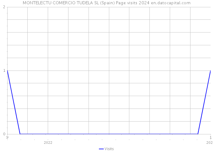 MONTELECTU COMERCIO TUDELA SL (Spain) Page visits 2024 