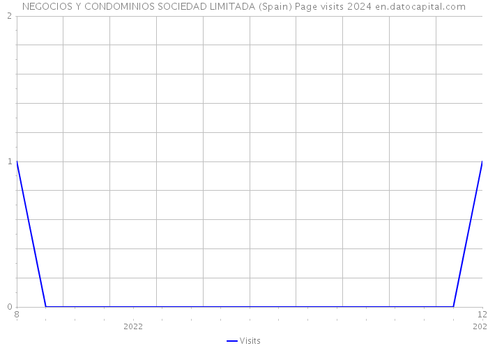 NEGOCIOS Y CONDOMINIOS SOCIEDAD LIMITADA (Spain) Page visits 2024 