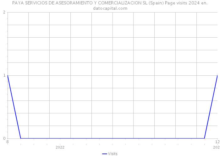 PAYA SERVICIOS DE ASESORAMIENTO Y COMERCIALIZACION SL (Spain) Page visits 2024 