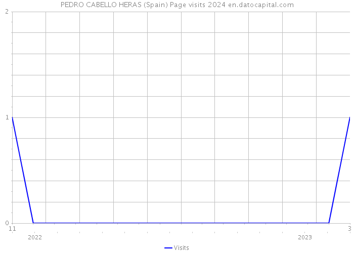 PEDRO CABELLO HERAS (Spain) Page visits 2024 