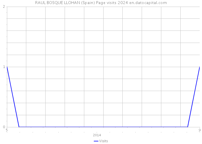 RAUL BOSQUE LLOHAN (Spain) Page visits 2024 