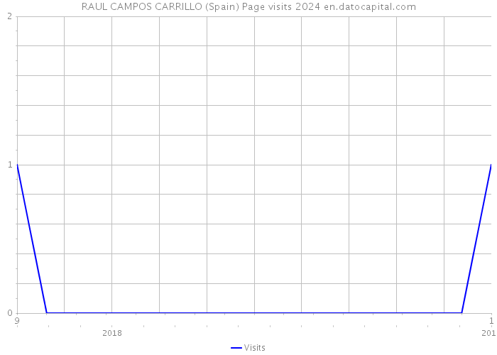 RAUL CAMPOS CARRILLO (Spain) Page visits 2024 