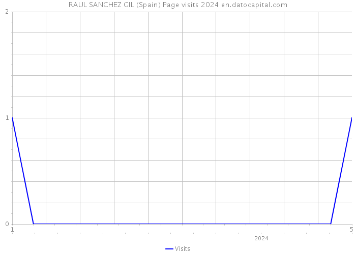 RAUL SANCHEZ GIL (Spain) Page visits 2024 