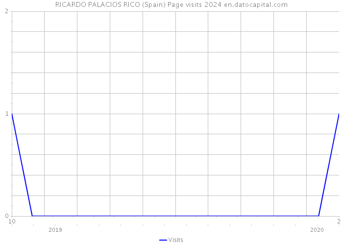 RICARDO PALACIOS RICO (Spain) Page visits 2024 