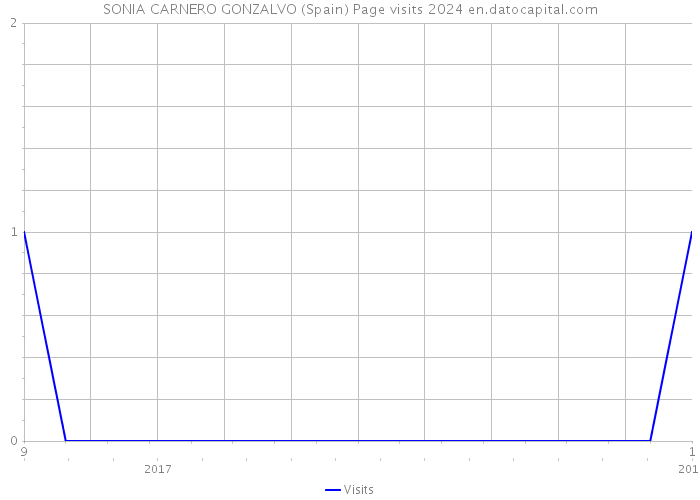 SONIA CARNERO GONZALVO (Spain) Page visits 2024 