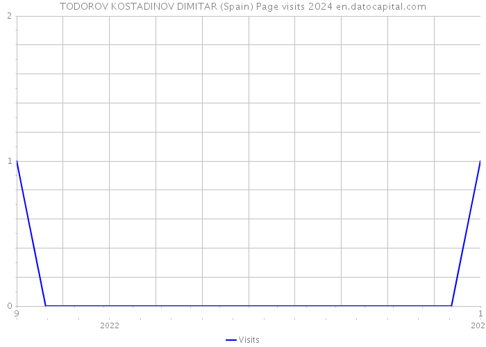 TODOROV KOSTADINOV DIMITAR (Spain) Page visits 2024 