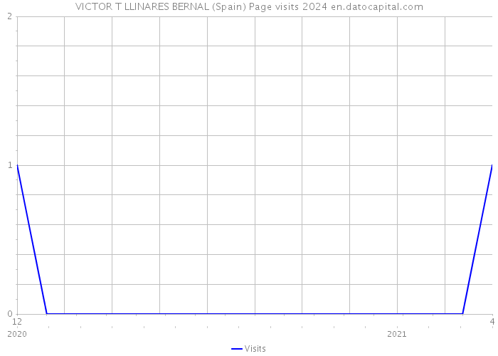 VICTOR T LLINARES BERNAL (Spain) Page visits 2024 