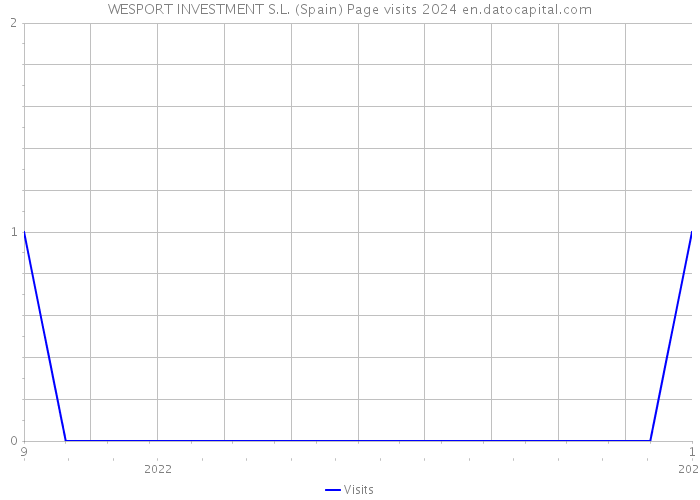 WESPORT INVESTMENT S.L. (Spain) Page visits 2024 