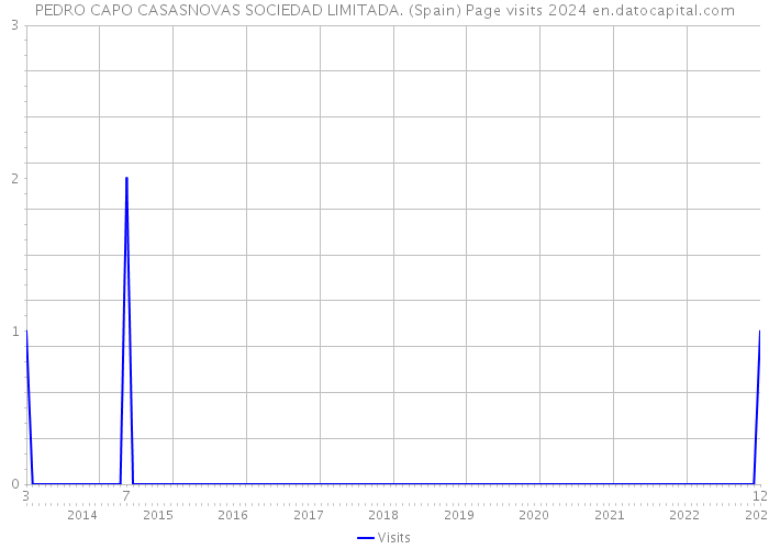 PEDRO CAPO CASASNOVAS SOCIEDAD LIMITADA. (Spain) Page visits 2024 