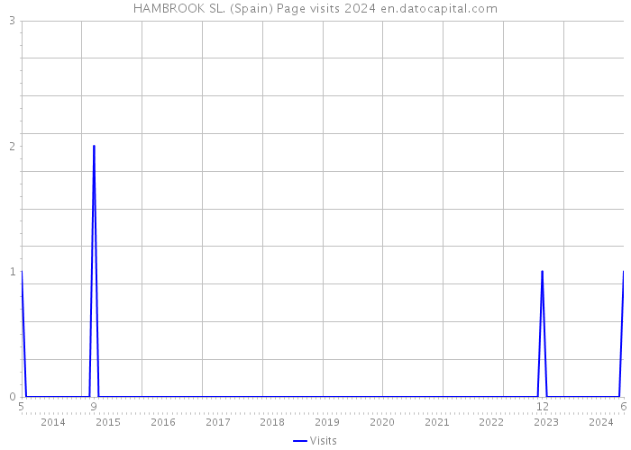 HAMBROOK SL. (Spain) Page visits 2024 