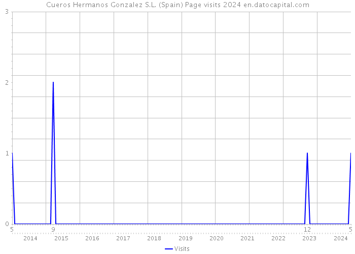 Cueros Hermanos Gonzalez S.L. (Spain) Page visits 2024 