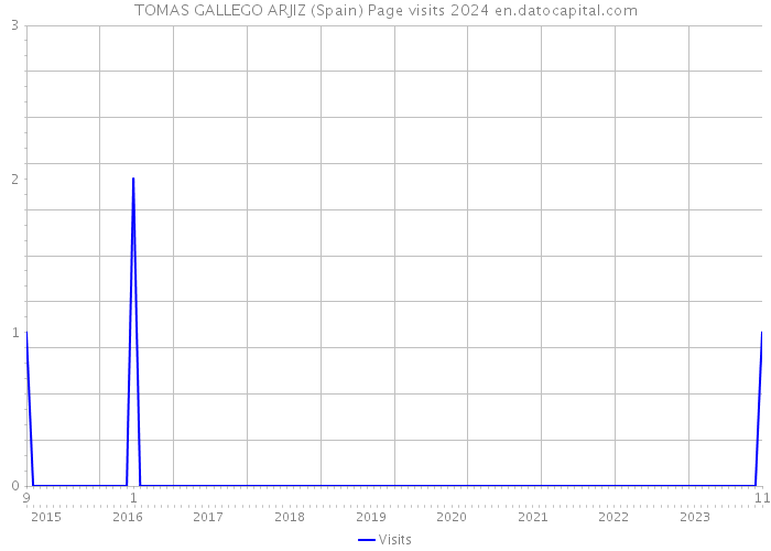 TOMAS GALLEGO ARJIZ (Spain) Page visits 2024 