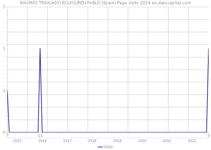 MAXIMO TRINCADO EGUIGUREN PABLO (Spain) Page visits 2024 