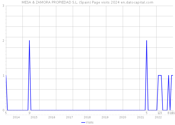 MESA & ZAMORA PROPIEDAD S.L. (Spain) Page visits 2024 