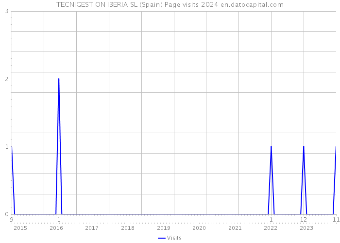TECNIGESTION IBERIA SL (Spain) Page visits 2024 