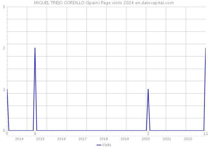 MIGUEL TREJO GORDILLO (Spain) Page visits 2024 
