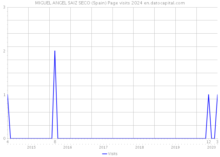 MIGUEL ANGEL SAIZ SECO (Spain) Page visits 2024 