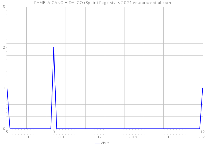PAMELA CANO HIDALGO (Spain) Page visits 2024 