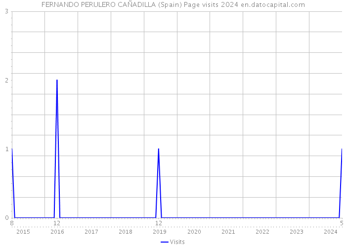 FERNANDO PERULERO CAÑADILLA (Spain) Page visits 2024 
