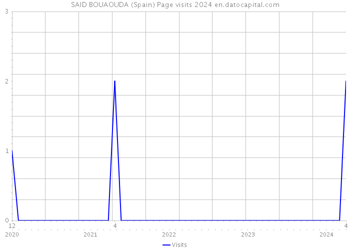 SAID BOUAOUDA (Spain) Page visits 2024 