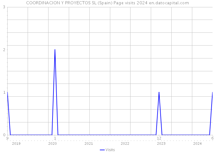 COORDINACION Y PROYECTOS SL (Spain) Page visits 2024 