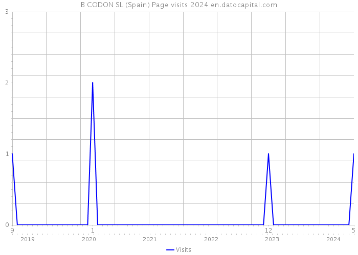 B CODON SL (Spain) Page visits 2024 