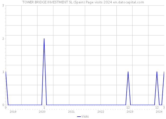 TOWER BRIDGE INVESTMENT SL (Spain) Page visits 2024 