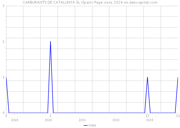 CARBURANTS DE CATALUNYA SL (Spain) Page visits 2024 