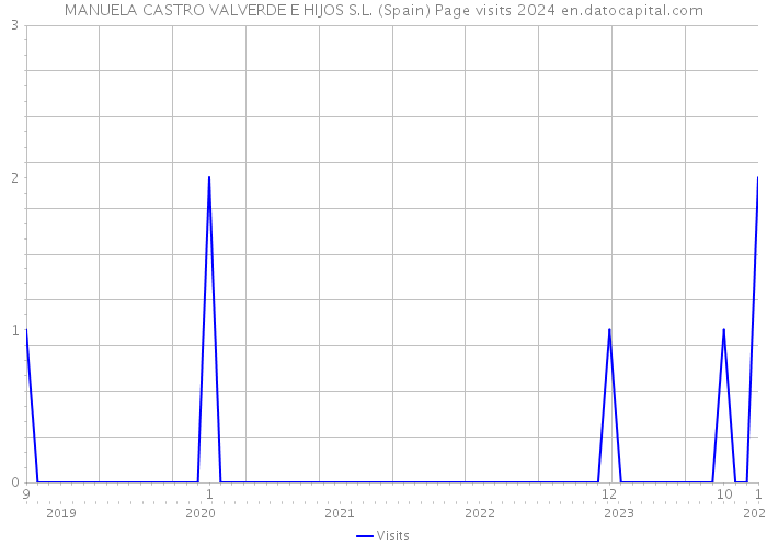 MANUELA CASTRO VALVERDE E HIJOS S.L. (Spain) Page visits 2024 