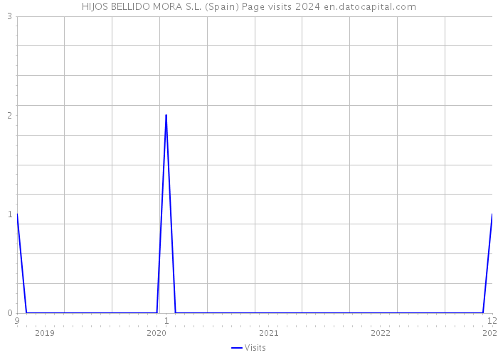 HIJOS BELLIDO MORA S.L. (Spain) Page visits 2024 
