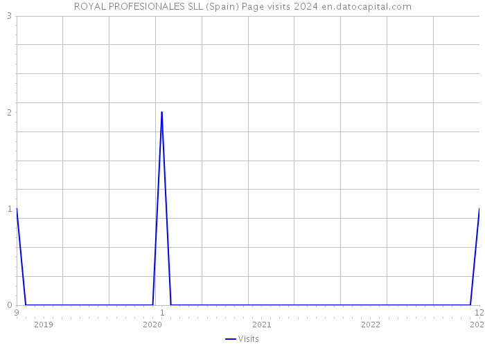 ROYAL PROFESIONALES SLL (Spain) Page visits 2024 