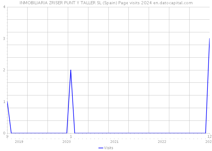 INMOBILIARIA ZRISER PUNT Y TALLER SL (Spain) Page visits 2024 