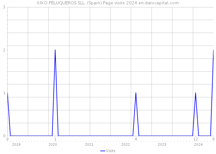 KIKO PELUQUEROS SLL. (Spain) Page visits 2024 