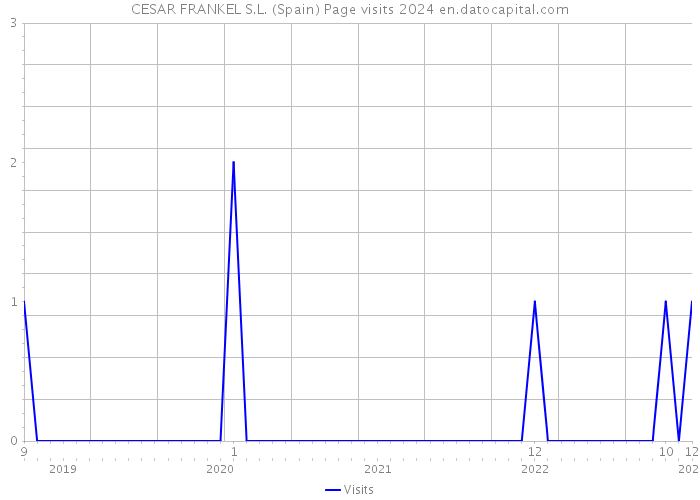 CESAR FRANKEL S.L. (Spain) Page visits 2024 