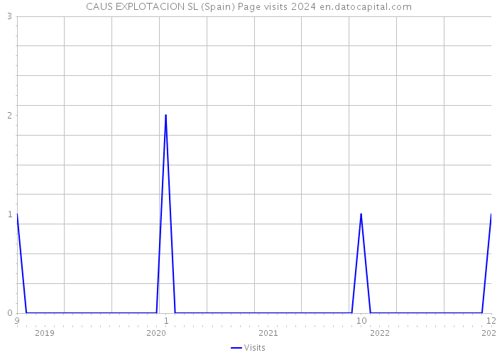 CAUS EXPLOTACION SL (Spain) Page visits 2024 