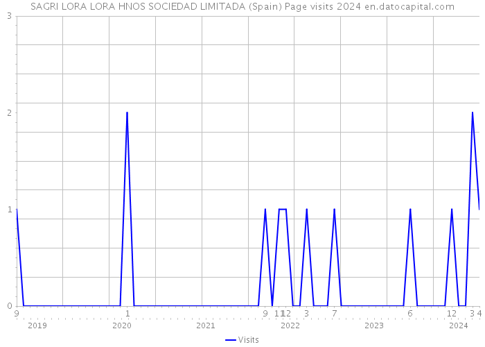 SAGRI LORA LORA HNOS SOCIEDAD LIMITADA (Spain) Page visits 2024 