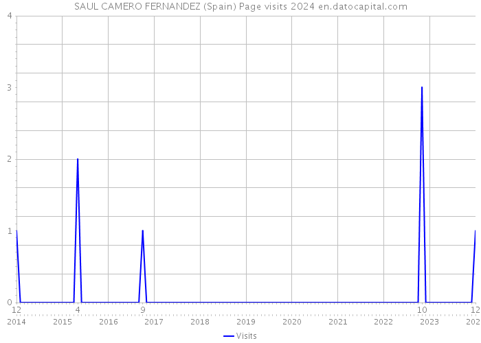 SAUL CAMERO FERNANDEZ (Spain) Page visits 2024 