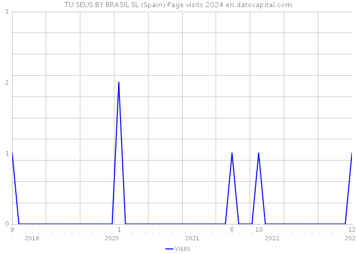 TU SEUS BY BRASIL SL (Spain) Page visits 2024 