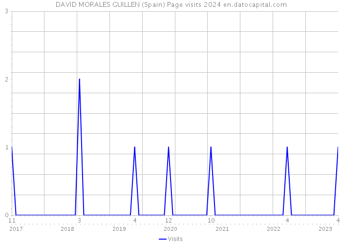 DAVID MORALES GUILLEN (Spain) Page visits 2024 