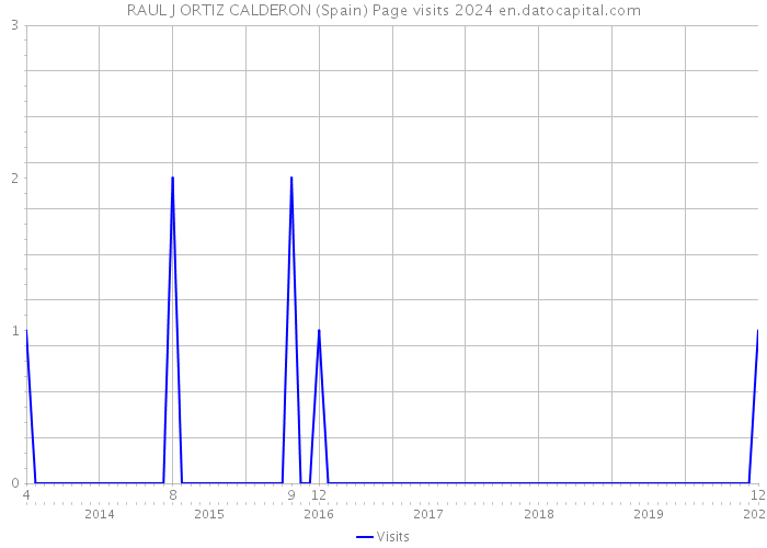 RAUL J ORTIZ CALDERON (Spain) Page visits 2024 