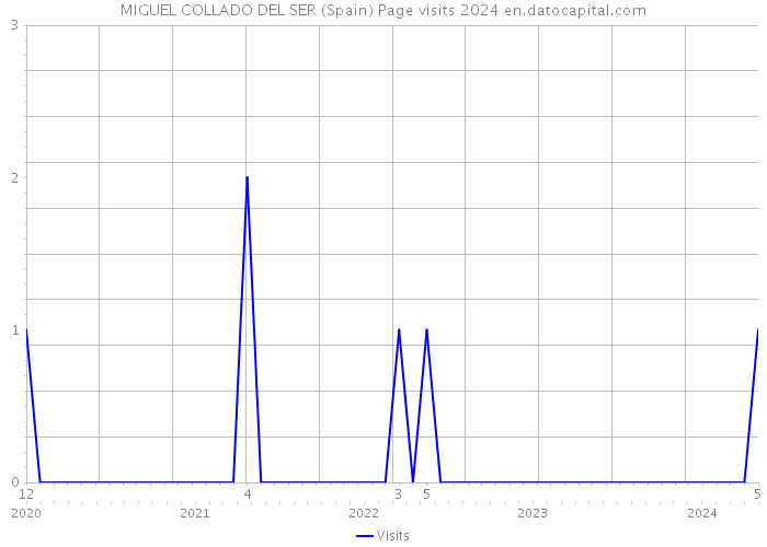 MIGUEL COLLADO DEL SER (Spain) Page visits 2024 