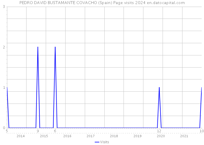 PEDRO DAVID BUSTAMANTE COVACHO (Spain) Page visits 2024 