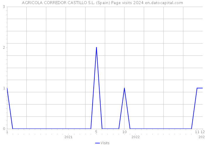 AGRICOLA CORREDOR CASTILLO S.L. (Spain) Page visits 2024 