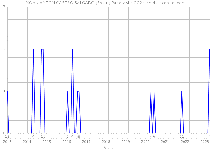 XOAN ANTON CASTRO SALGADO (Spain) Page visits 2024 