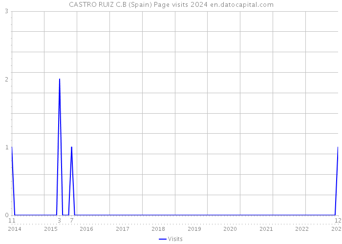 CASTRO RUIZ C.B (Spain) Page visits 2024 