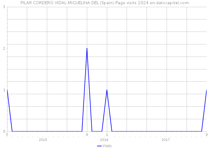 PILAR CORDERO VIDAL MIGUELINA DEL (Spain) Page visits 2024 