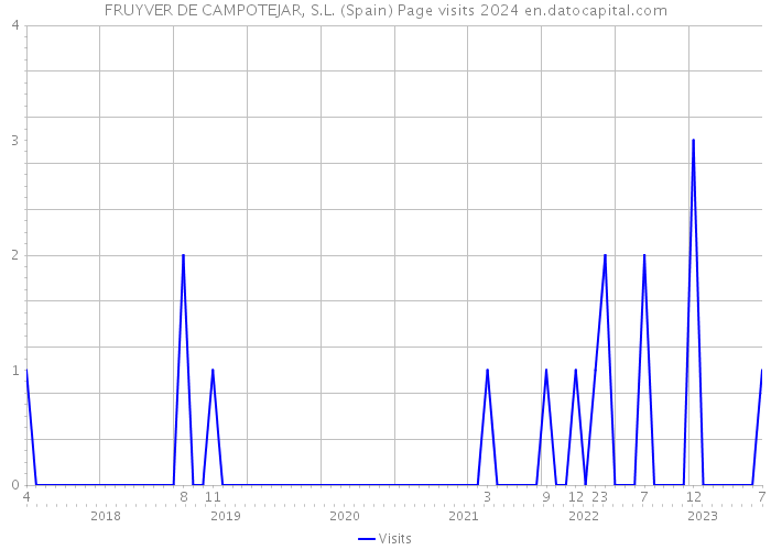 FRUYVER DE CAMPOTEJAR, S.L. (Spain) Page visits 2024 