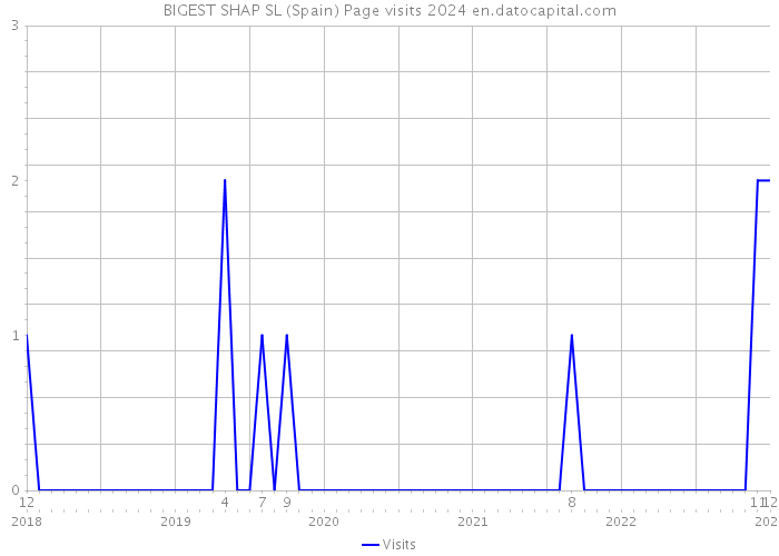 BIGEST SHAP SL (Spain) Page visits 2024 