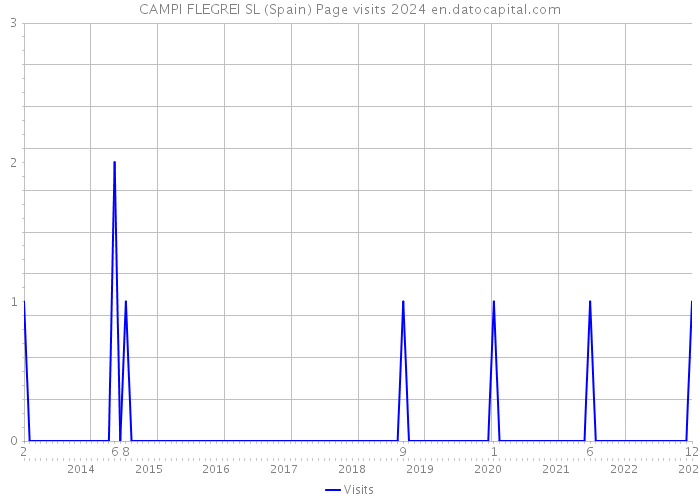 CAMPI FLEGREI SL (Spain) Page visits 2024 